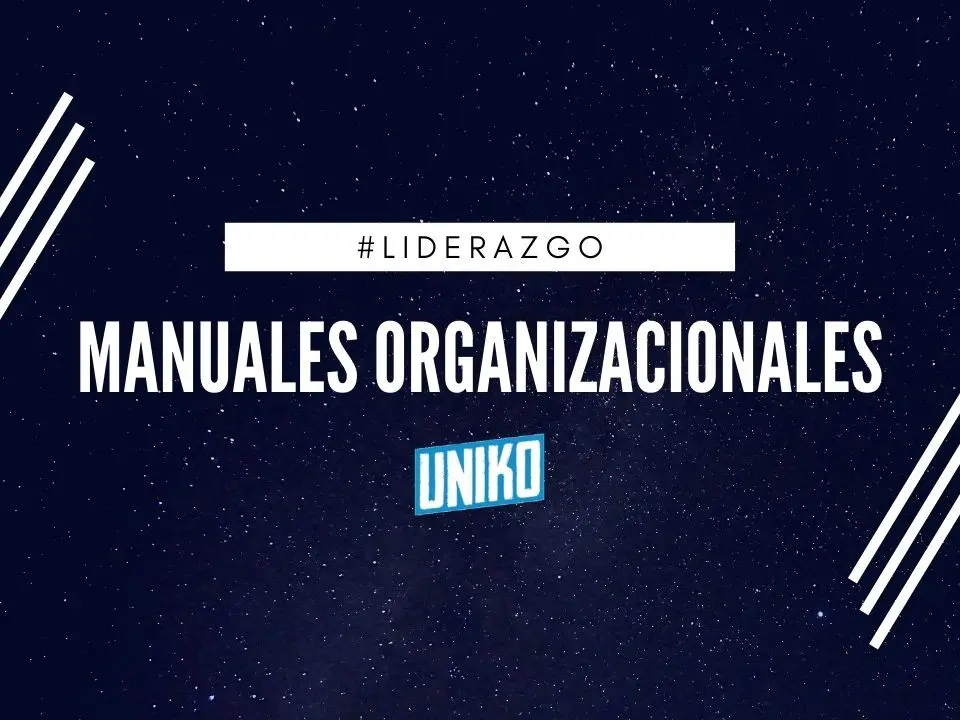 Manuales Organizacionales